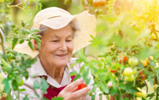 an old lady gardening