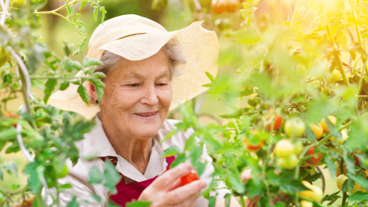 an old lady gardening
